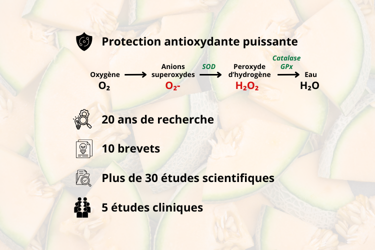 Un mécanisme d’action naturel et puissant